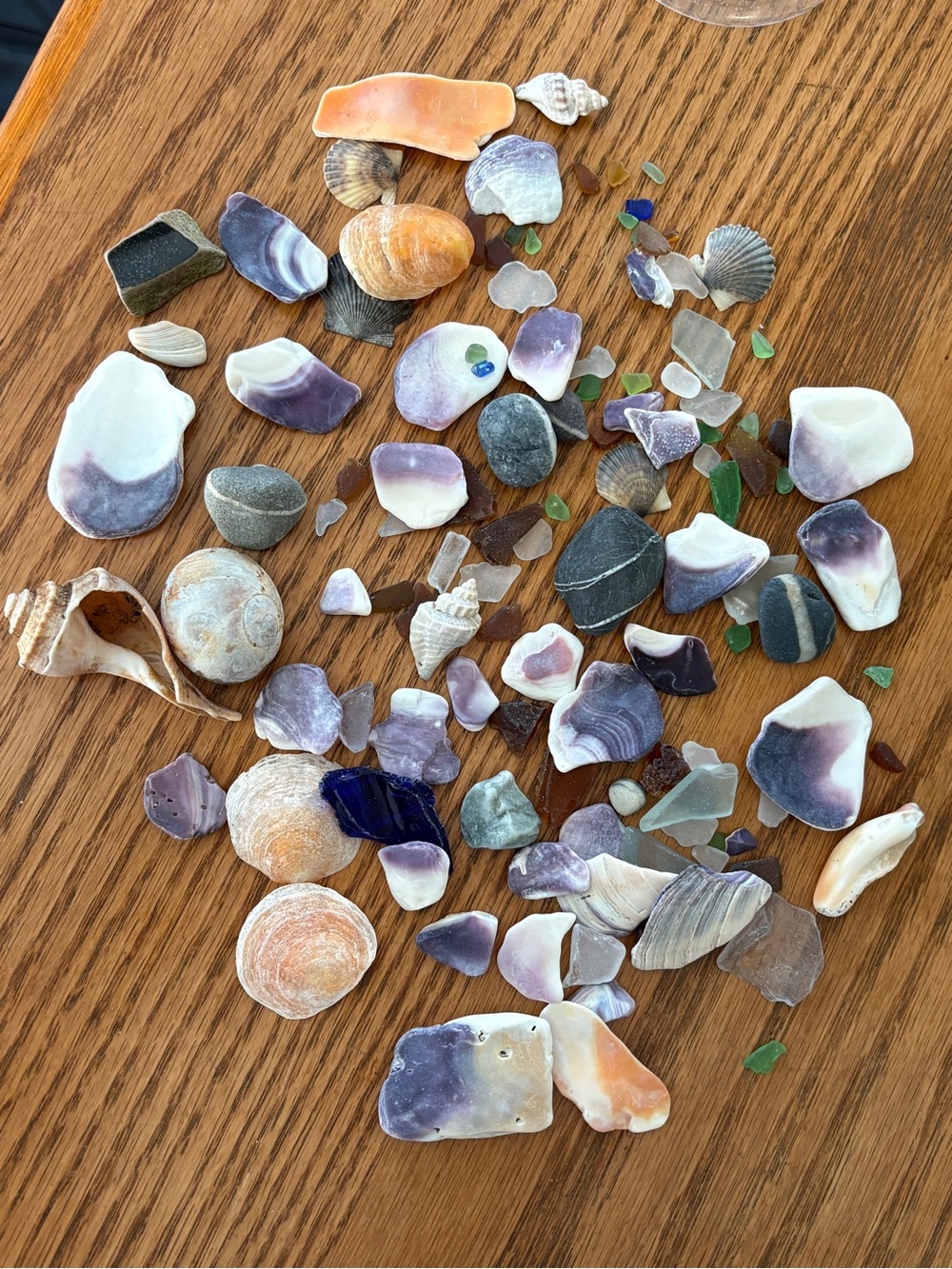 Assorted Wampum Shells, Beach Stones & Sea Glass Mix 120 Pieces